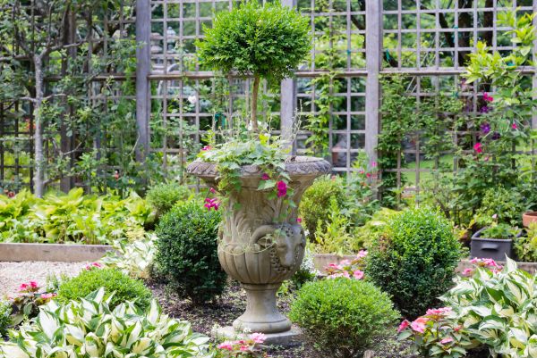 Topiary Pruning in Windsor
