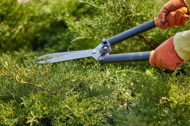 Shrub Trimming Tools