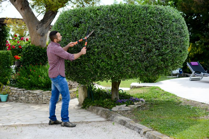 Expert shaping and pruning
